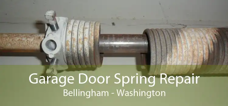 Garage Door Spring Repair Bellingham - Washington