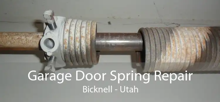 Garage Door Spring Repair Bicknell - Utah