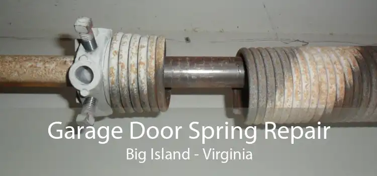 Garage Door Spring Repair Big Island - Virginia