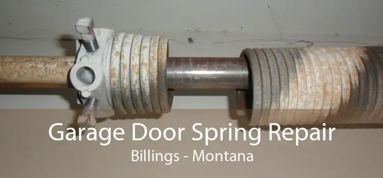 Garage Door Spring Repair Billings - Montana