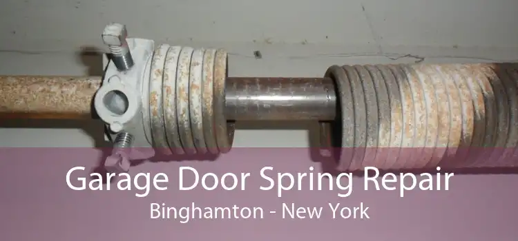 Garage Door Spring Repair Binghamton - New York