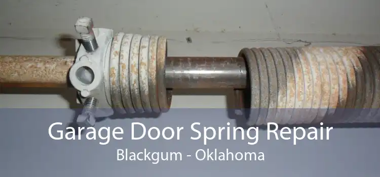 Garage Door Spring Repair Blackgum - Oklahoma