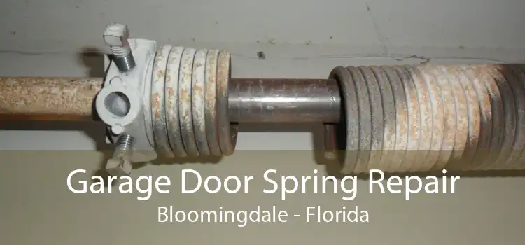 Garage Door Spring Repair Bloomingdale - Florida