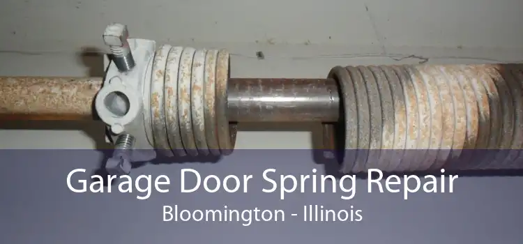 Garage Door Spring Repair Bloomington - Illinois