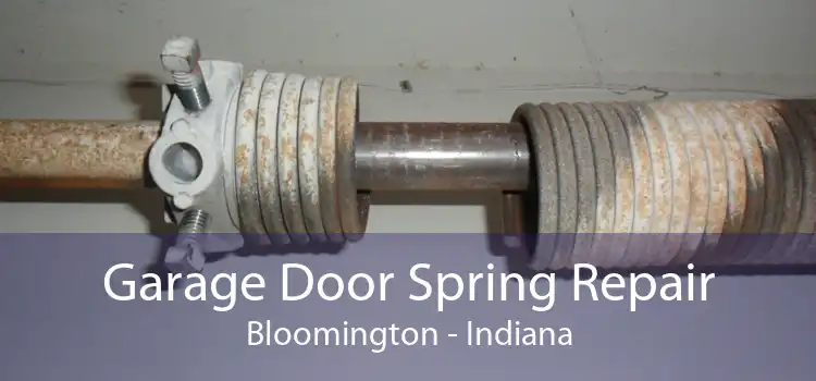 Garage Door Spring Repair Bloomington - Indiana