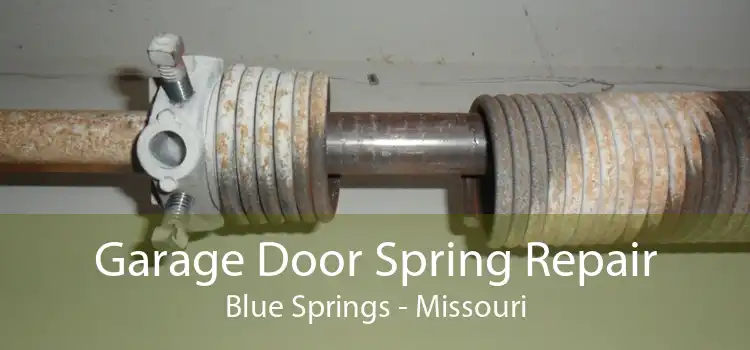 Garage Door Spring Repair Blue Springs - Missouri