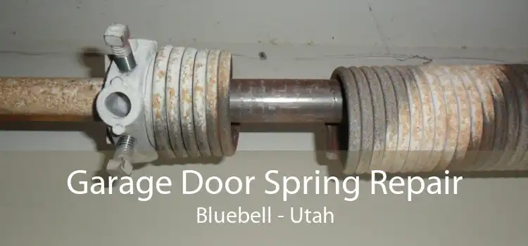 Garage Door Spring Repair Bluebell - Utah
