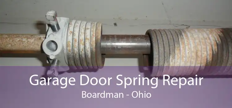 Garage Door Spring Repair Boardman - Ohio