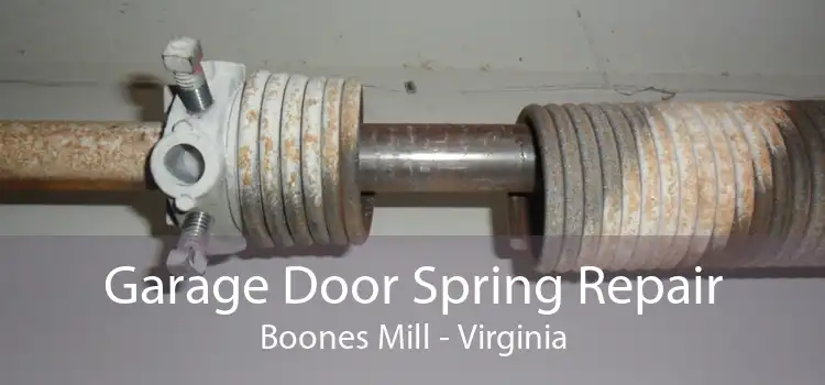 Garage Door Spring Repair Boones Mill - Virginia