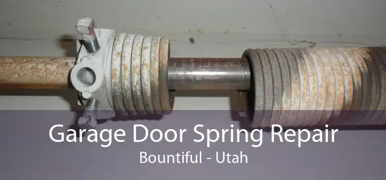 Garage Door Spring Repair Bountiful - Utah