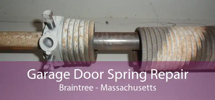 Garage Door Spring Repair Braintree - Massachusetts