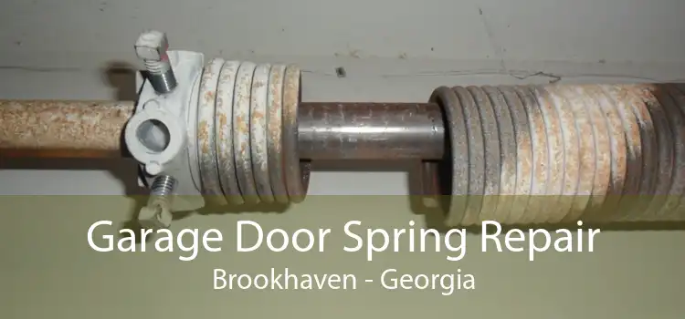 Garage Door Spring Repair Brookhaven - Georgia
