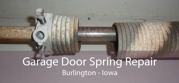 Garage Door Spring Repair Burlington - Iowa