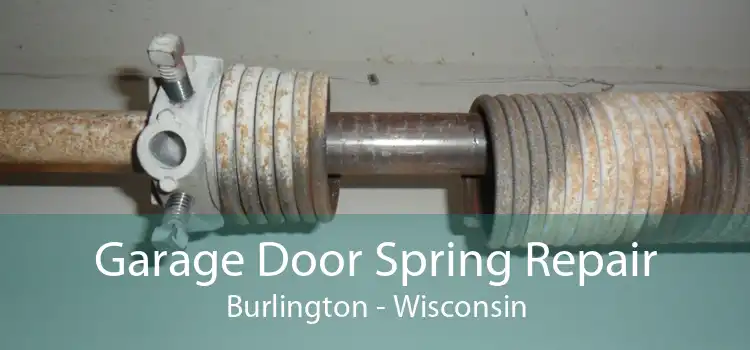 Garage Door Spring Repair Burlington - Wisconsin