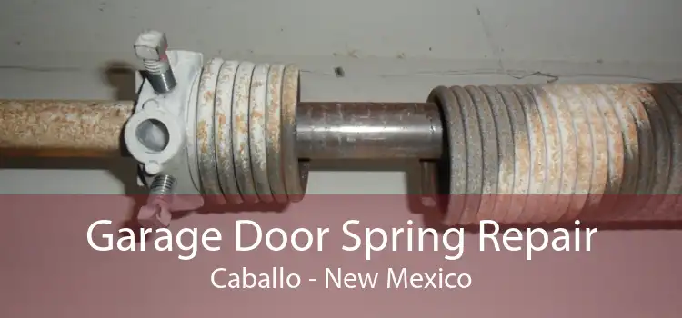 Garage Door Spring Repair Caballo - New Mexico