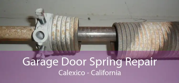 Garage Door Spring Repair Calexico - California