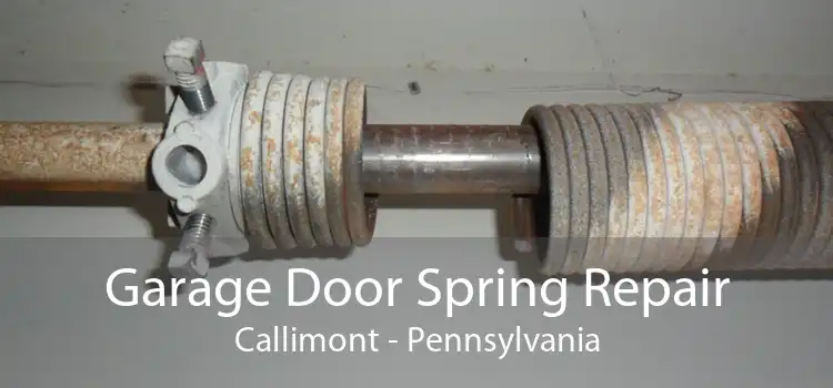 Garage Door Spring Repair Callimont - Pennsylvania