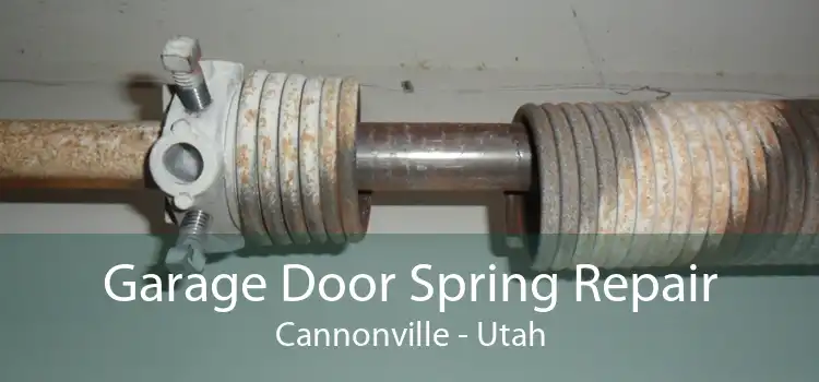 Garage Door Spring Repair Cannonville - Utah