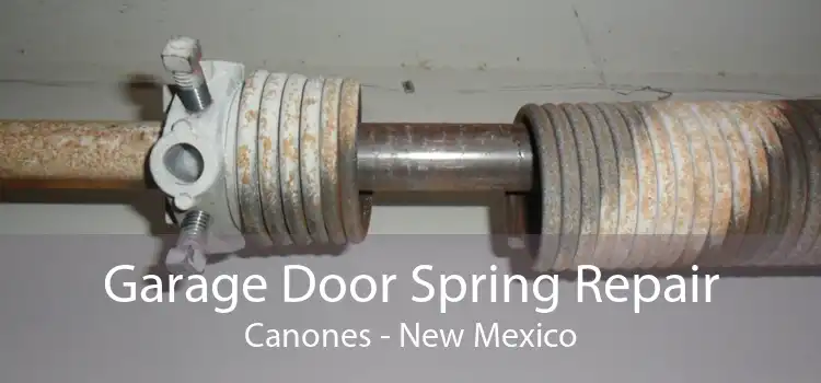 Garage Door Spring Repair Canones - New Mexico