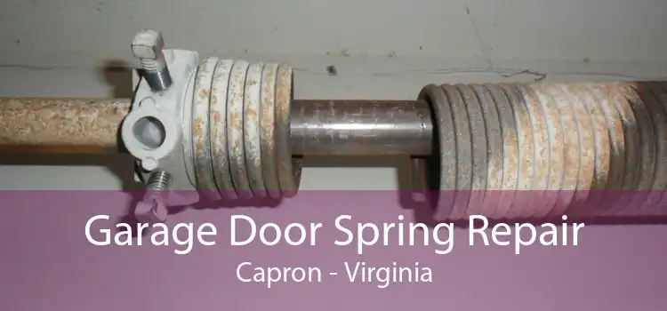 Garage Door Spring Repair Capron - Virginia