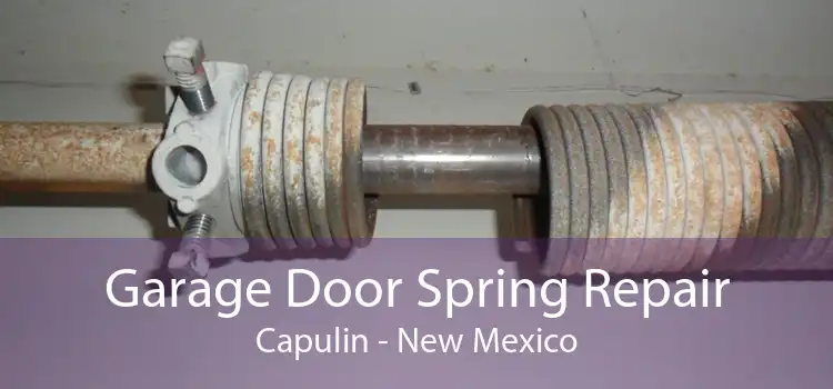 Garage Door Spring Repair Capulin - New Mexico