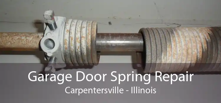 Garage Door Spring Repair Carpentersville - Illinois