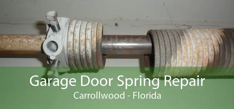 Garage Door Spring Repair Carrollwood - Florida
