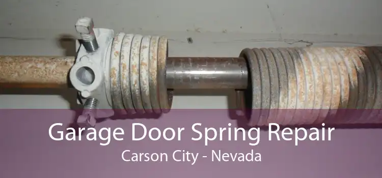 Garage Door Spring Repair Carson City - Nevada