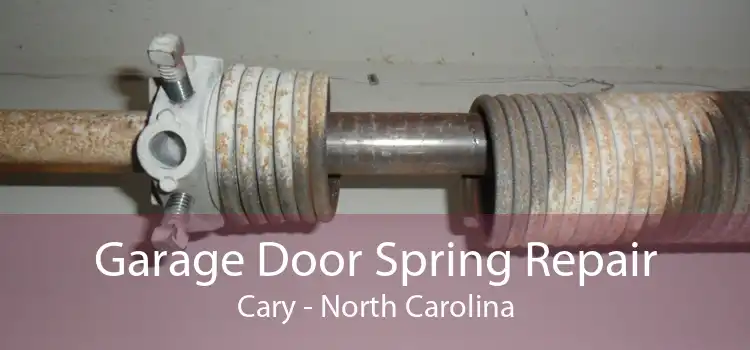 Garage Door Spring Repair Cary - North Carolina