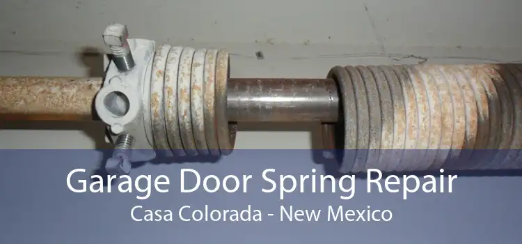 Garage Door Spring Repair Casa Colorada - New Mexico