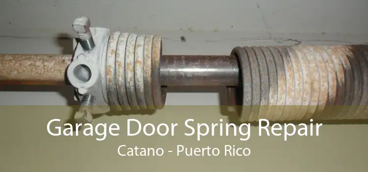 Garage Door Spring Repair Catano - Puerto Rico