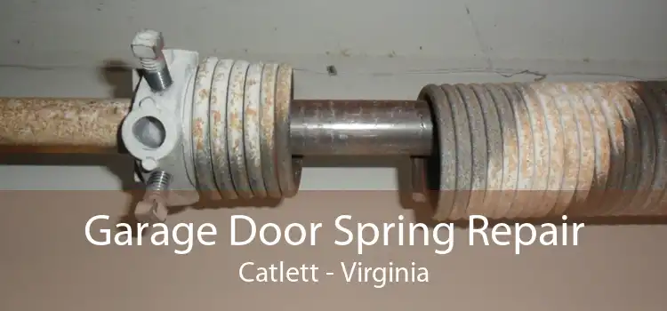 Garage Door Spring Repair Catlett - Virginia