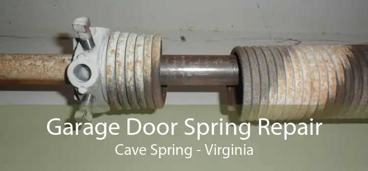 Garage Door Spring Repair Cave Spring - Virginia