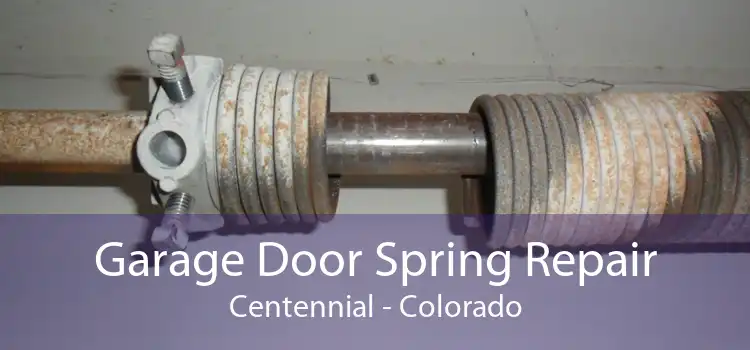 Garage Door Spring Repair Centennial - Colorado