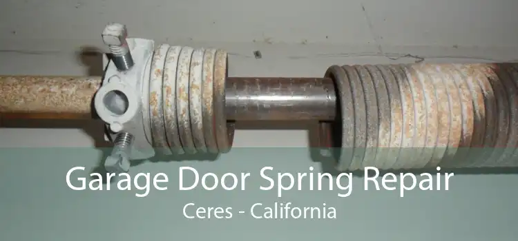 Garage Door Spring Repair Ceres - California