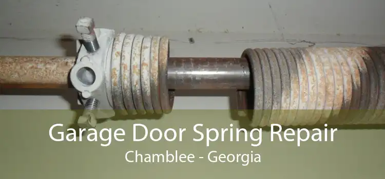 Garage Door Spring Repair Chamblee - Georgia