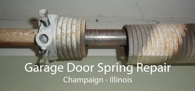 Garage Door Spring Repair Champaign - Illinois