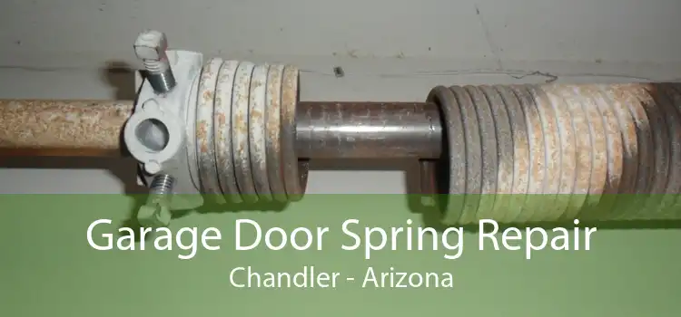 Garage Door Spring Repair Chandler - Arizona