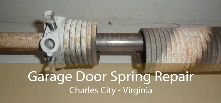Garage Door Spring Repair Charles City - Virginia