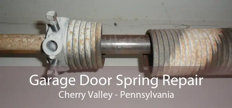 Garage Door Spring Repair Cherry Valley - Pennsylvania