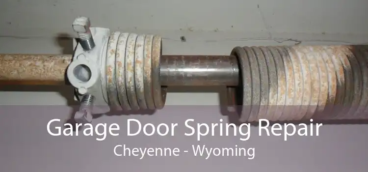 Garage Door Spring Repair Cheyenne - Wyoming
