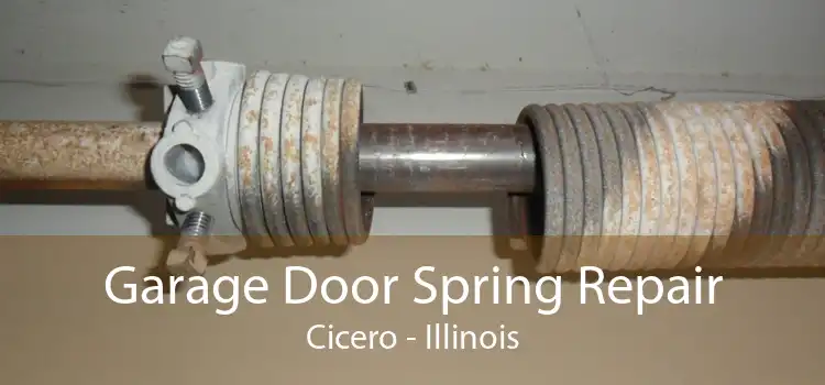 Garage Door Spring Repair Cicero - Illinois
