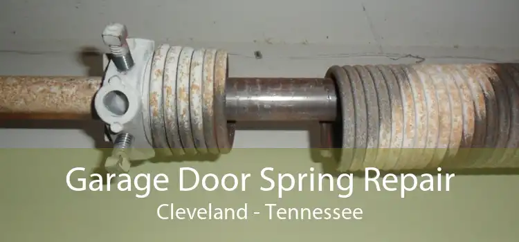 Garage Door Spring Repair Cleveland - Tennessee