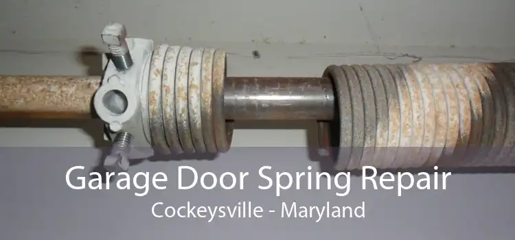 Garage Door Spring Repair Cockeysville - Maryland