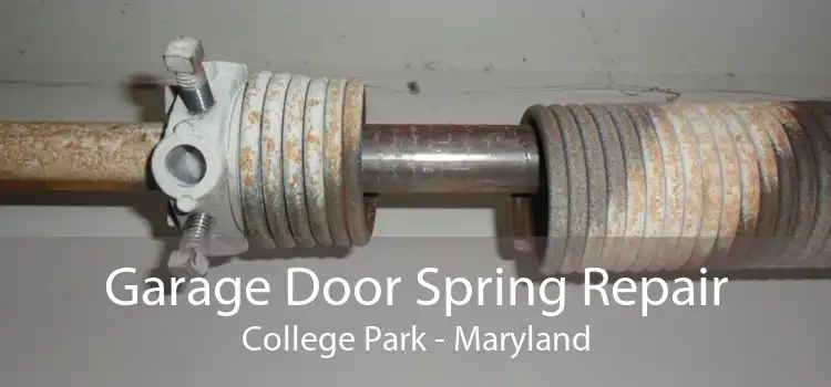 Garage Door Spring Repair College Park - Maryland