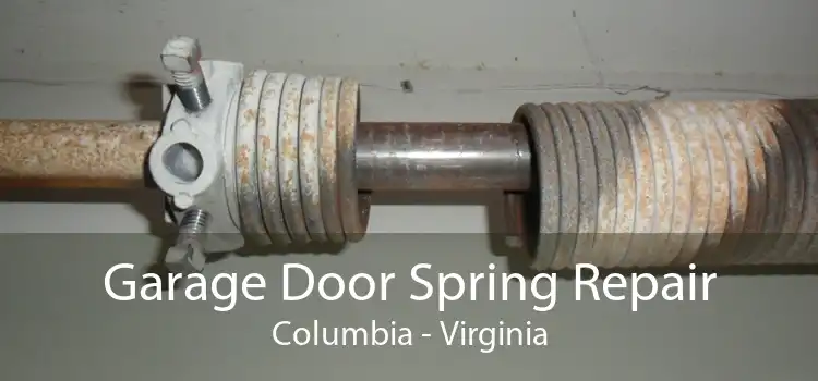 Garage Door Spring Repair Columbia - Virginia