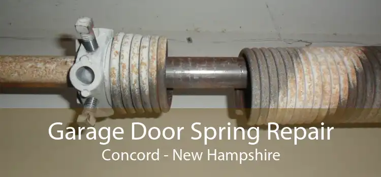 Garage Door Spring Repair Concord - New Hampshire