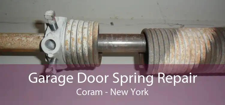 Garage Door Spring Repair Coram - New York