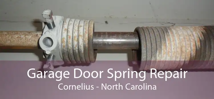Garage Door Spring Repair Cornelius - North Carolina