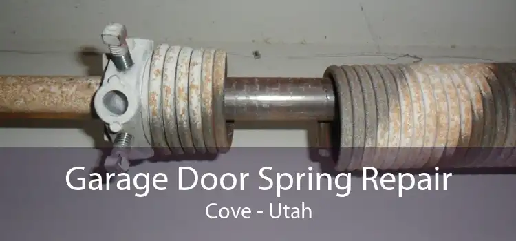 Garage Door Spring Repair Cove - Utah